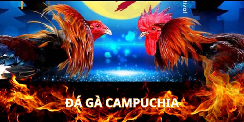 da-ga-campuchia-vin777