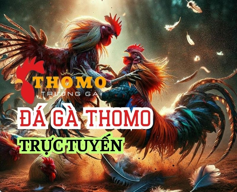 da-ga-thomo-vin777
