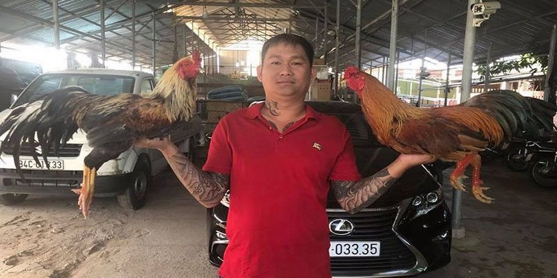 Hành trình Mít Trà Cú trở thành sư kê số 1
